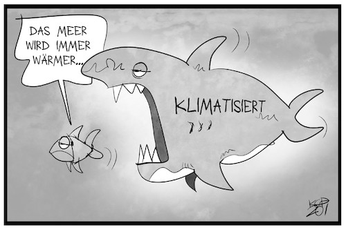 Warme Ozeane Warme Ozeane
