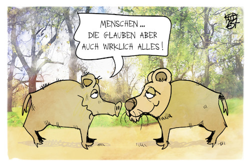 Wildschweine Wildschweine