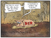 BER und das oder die Fliegen
