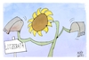 Cartoon: Die Grünen baggern (small) by Kostas Koufogiorgos tagged karikatur,koufogiorgos,lützerath,grüne,kohle,energie,sonnenblume,bagger