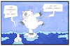 Cartoon: Fake Klimawandel (small) by Kostas Koufogiorgos tagged karikatur,koufogiorgos,illustration,cartoon,umwelt,eis,pol,nordpol,südpol,arktis,antarktis,eisbär,tier,schmelze,klimawandel,erderwärmung,trump,donald,wasser,fake,news