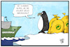 Cartoon: Gefahr Plastikmüll (small) by Kostas Koufogiorgos tagged karikatur,koufogiorgos,illustration,cartoon,greenpeace,plastik,mikroplastik,gelber,sack,recycling,umwelt,pinguin,antarktis,südpol,grün,punkt,wertstoff,abholung,müllabfuhr