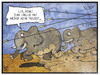 Cartoon: Juan Carlos (small) by Kostas Koufogiorgos tagged karikatur,koufogiorgos,illustration,cartoon,juan,carlos,könig,spanien,elefant,jagd,monarch,rente,abdankung,freizeit,hobby,tier,tierquälerei