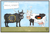 Cartoon: Mehr Geld für die EU (small) by Kostas Koufogiorgos tagged karikatur,koufogiorgos,illustration,cartoon,eu,stier,geld,deutschland,michel,melkkuh,mitglied,europa,beitrag