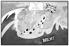 Cartoon: Neuwahl in UK (small) by Kostas Koufogiorgos tagged karikatur,koufogiorgos,illustration,cartoon,neuwahl,uk,grossbritannien,schuh,may,wellen,see,meer,brexit,untiefen,demokratie,wahl,parlament
