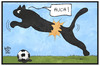 Cartoon: Puma-Trikots (small) by Kostas Koufogiorgos tagged karikatur,koufogiorgos,illustration,cartoon,puma,sportausrüster,trikot,trikotgate,reissen,qualität,marke,markenzeichen,logo,fussball,em