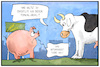 Cartoon: Tierwohl-Siegel (small) by Kostas Koufogiorgos tagged karikatur,koufogiorgos,illustration,cartoon,tierwohl,siegel,rind,schwein,sau,gruene,woche,kennzeichnung,nutztiere,tierhaltung,ernährung,verbraucher,kuh,fleisch,landwirtschaft