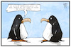 Cartoon: Tipps bei Glatteis (small) by Kostas Koufogiorgos tagged karikatur,koufogiorgos,illustration,cartoon,pinguin,glatteis,arzt,empfehlung,gesundheit,winter,schnee,watschelgang,vorsorge,prävention