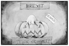 Cartoon: UK-Neuwahlentricks (small) by Kostas Koufogiorgos tagged karikatur,koufogiorgos,illustration,cartoon,uk,johnson,halloween,neuwahlen,kürbis,trick,or,treat,finte,brexit,eu,europa