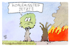 Waldbrände in Europa