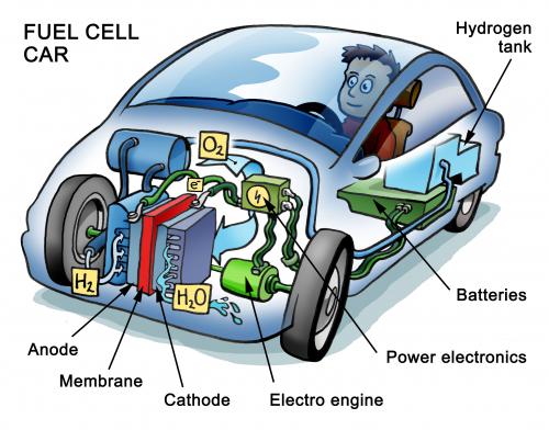 Cartoon: Fuel cell (medium) by illustrator tagged fuel,cell,electric,power,car,vehicle,wagen,auto,kraftstoffzelle,kraftstoff,elektrisch,energie,energy,cartoon,illustrator,peter,welleman,cutaway,technology,engine,,illustration,brennstoffzelle,kraftstoffzelle,auto,fahrzeug,entwicklung,technik,fortschritt,motor,elektrisch,energie,infografik,treibstoff,sprit,benzin