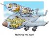 Cartoon: sky rocket (small) by illustrator tagged cutaway,lift,off,rocket,plane,aeroplane,airplane,carrier,carier,inside,pilot,crew,astronaut,cosmonaut,fuel,engine,cockpit,launch,experiment,technology,jet,ram,buster,cartoon,cartoonist,peter,welleman,illustration,illustrator,next,stop,moon,planet,space