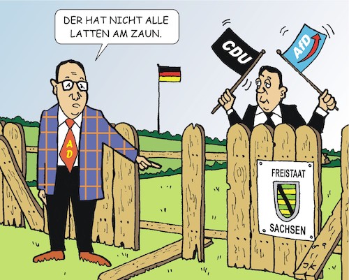 Lattenzaun Lattenzaun