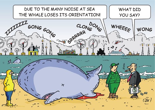 Whales Whales