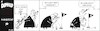 Cartoon: Donald 11 (small) by JotKa tagged donald,trump,joe,biden,usa,wahlen,washington,white,house,republikaner,demokraten,golf,millionäre,golfplatz,handicap