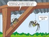 Cartoon: Netzprobleme (small) by JotKa tagged netze,netzprobleme,netzverbindung,telecommunication,spinnen,landleben