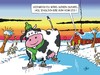 Cartoon: Sprichwörter (small) by JotKa tagged kuh,eis,winter,schlittschuh,tiere,natur,jahreszeiten,kühe