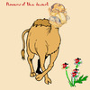 Cartoon: Flowers of the desert (small) by azamponi tagged jordan samir alramahi cartoonist humor politics