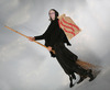 Cartoon: La Befana (small) by azamponi tagged school,and,university,reform,italy,politics,berlusconi