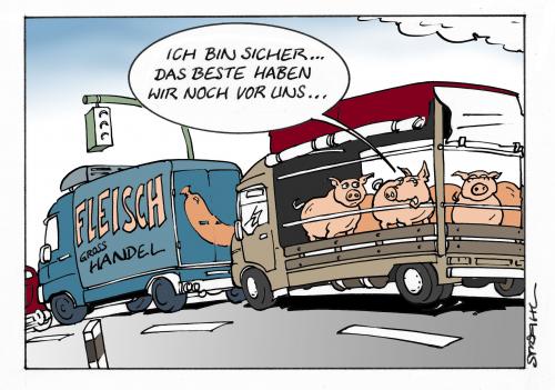 Schwein gehabt Schwein gehabt