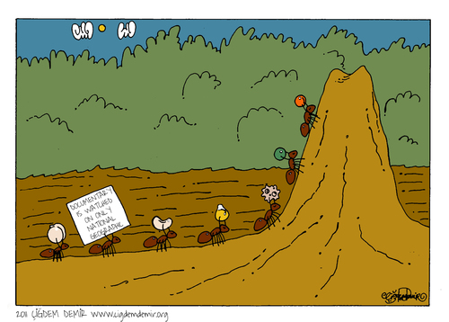 Cartoon: ANTS (medium) by CIGDEM DEMIR tagged national,ant,geographic