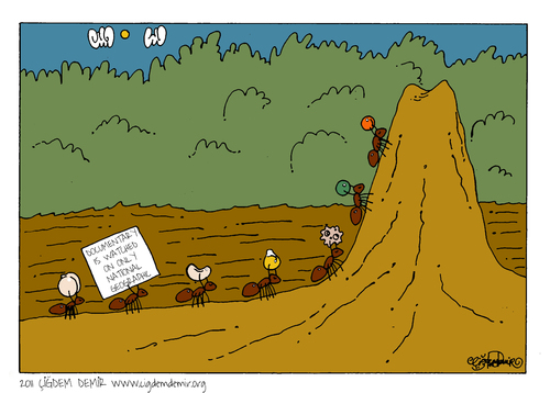Cartoon: ANTS (medium) by CIGDEM DEMIR tagged national,ant,geographic