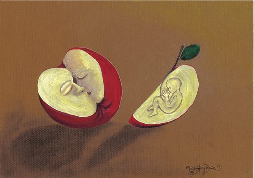 Cartoon: Apple-1 (medium) by CIGDEM DEMIR tagged apple,cigdem,demir,baby,love,man,woman,pregnant