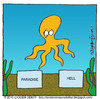 Cartoon: Octopus Paul Dead (small) by CIGDEM DEMIR tagged octopus,paul,cigdem,demir,2010,animal,paradise,hell