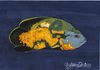Cartoon: THE NUDE (small) by CIGDEM DEMIR tagged nude,fish,sea