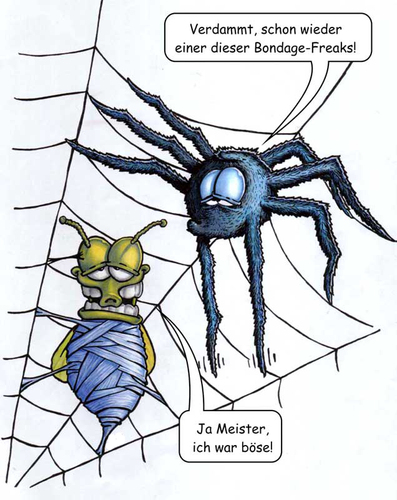 Cartoon: Fetisch im Netz (medium) by bertgronewold tagged spinne,fliege,netz,bondage