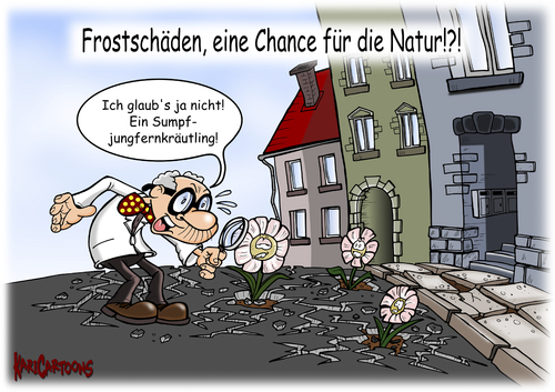 Cartoon: Frostschäden (medium) by karicartoons tagged winter,straßenschäden,straßenbelag,straße,schlagloch,schlaglöcher,sanierung,risse,reparatur,frostschäden,frost,frühjahr,pflanzen,selten,entdeckung