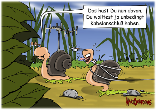 Kabelanschluß