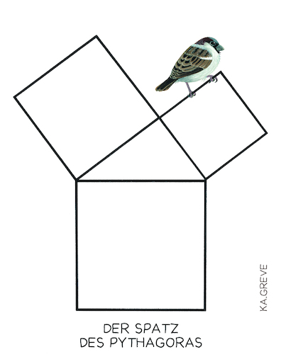 Der Spatz des Pythagoras Der Spatz des Pythagoras