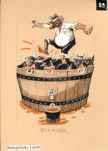 Bikaver wine Bikaver wine