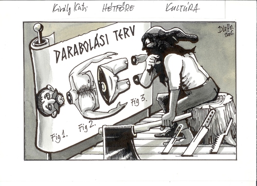 Cartoon: Cutting plan (medium) by Dluho tagged plan