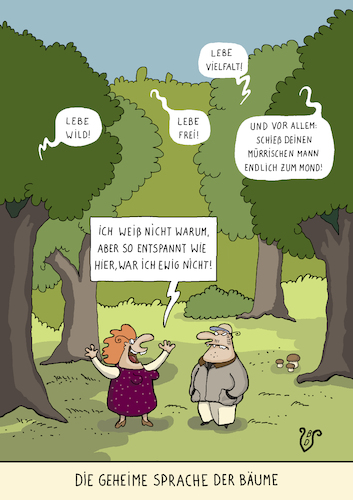 Die geheime Sprache der Bäume Die geheime Sprache der Bäume