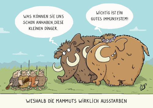 Gutes Immunsystem Gutes Immunsystem