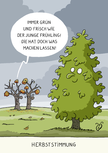 Herbststimmung Herbststimmung