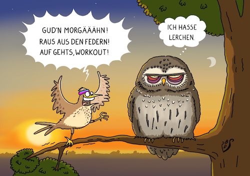 Schlaftyp Schlaftyp