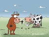 Cartoon: Happy Valentine (small) by Dodenhoff Cartoons tagged love,cow,farm,missunderstanding,valentines,day,woman,man