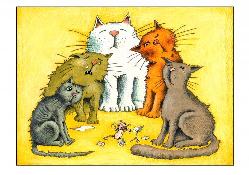 katzen katzen