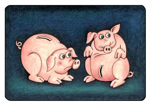schwein schwein