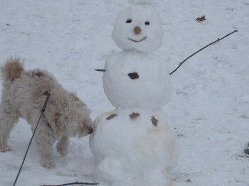 Cartoon: snowman meets snowdog (medium) by Resha tagged snow,animal,dog,fun,love,winter,snowman