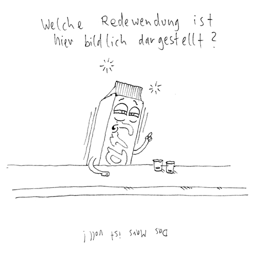 Cartoon: Bilderrätsel (medium) by Tobias Wieland tagged rätsel,kneipe,redewendung