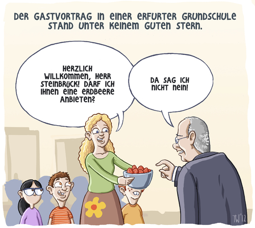 Steinbrück Steinbrück