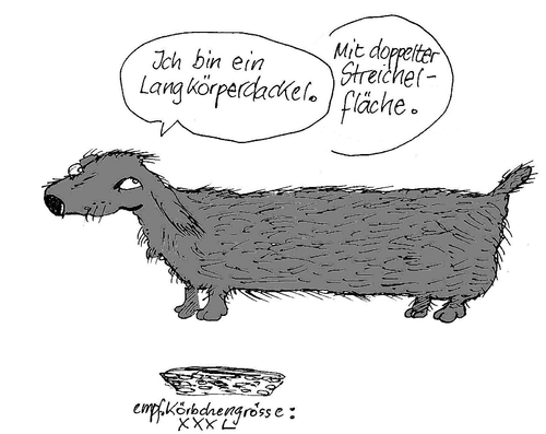 Cartoon: Langkörperdackel (medium) by Marbez tagged dackel,langkörper,züchtung
