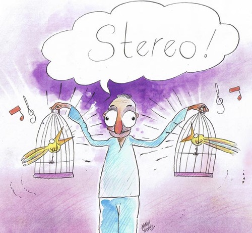 Cartoon: Listen two birds... (medium) by kamil yavuz tagged müzik,stereo,birds
