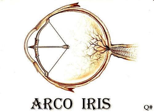 Cartoon: ARCO IRIS (medium) by QUIM tagged arco,,illustration,bogen,iris,pfeil,anatomie,biologie,augapfel,auge,schmerz,aufbau,linse,schießen,zielen,sehen,sehorgan,sinne
