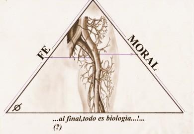 FEMORAL FEMORAL