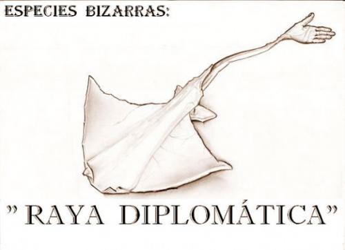 RAYA DIPLOMATICA RAYA DIPLOMATICA